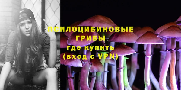 спайс Нея