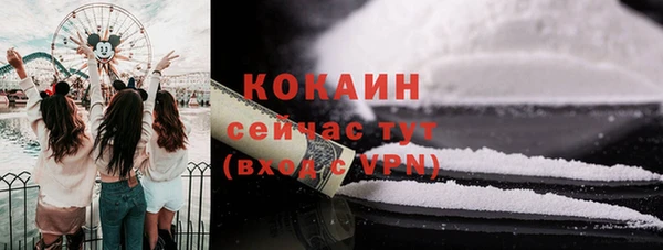 прущие грибы Нефтегорск