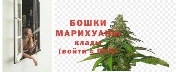 прущие грибы Нефтегорск