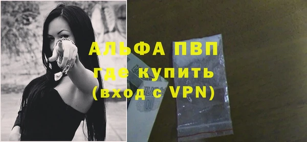 прущие грибы Нефтегорск