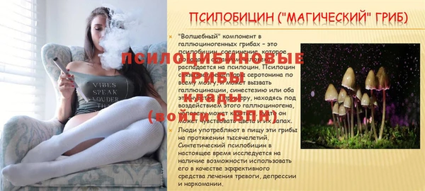 спайс Нея