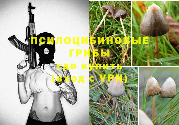 спайс Нея