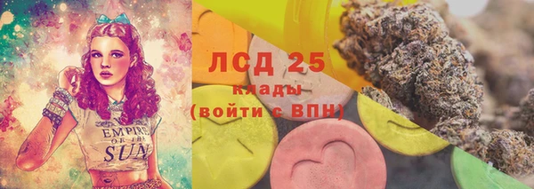 спайс Нея