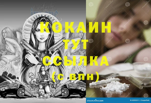 спайс Нея