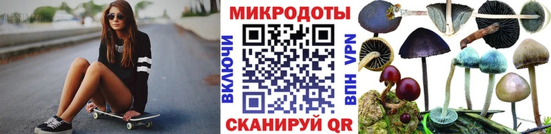 kraken   Калининец  Галлюциногенные грибы Psilocybine cubensis 